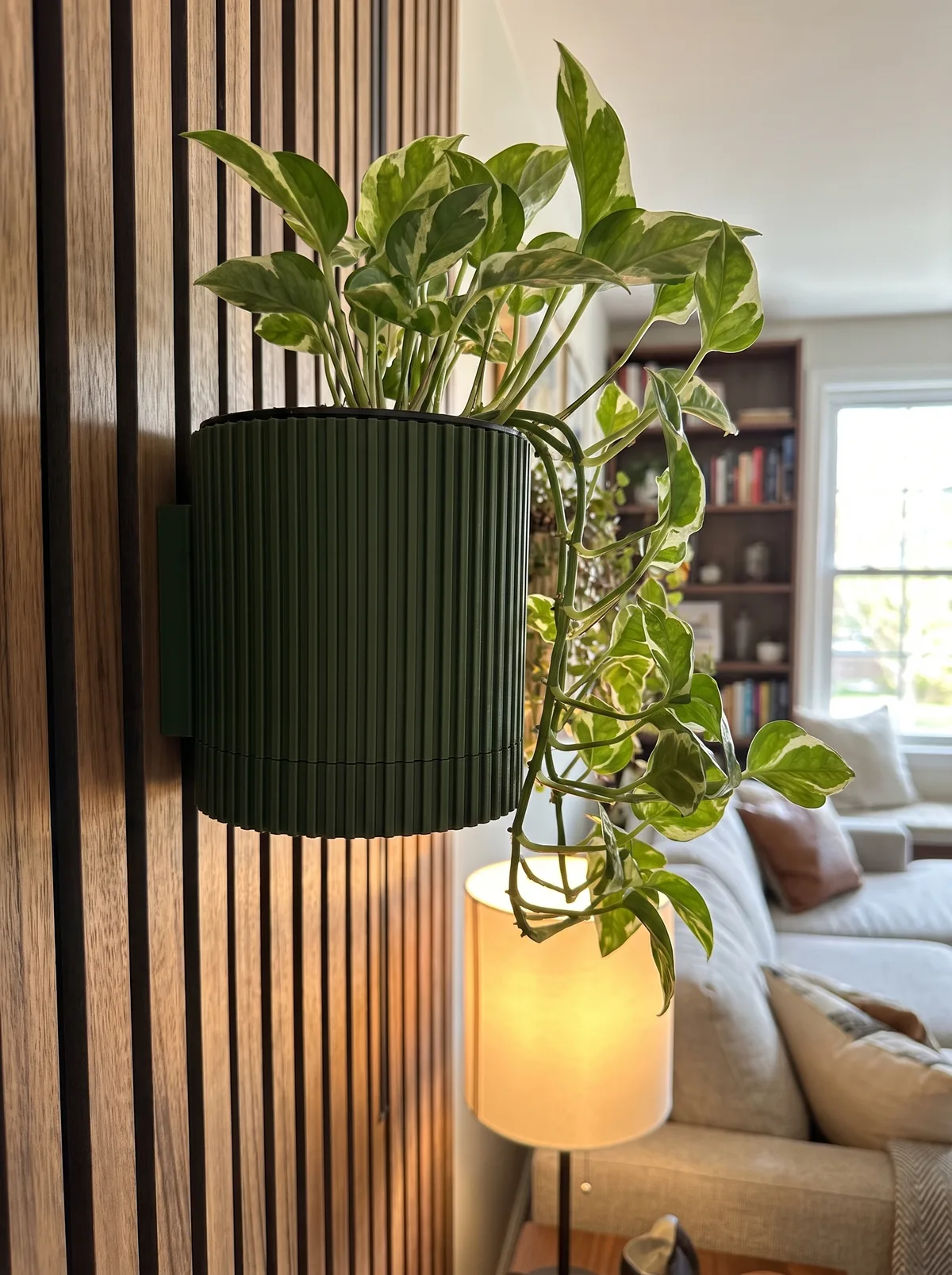 Ribbed forest-green wall planter with trailing pothos on a wood slat wall
