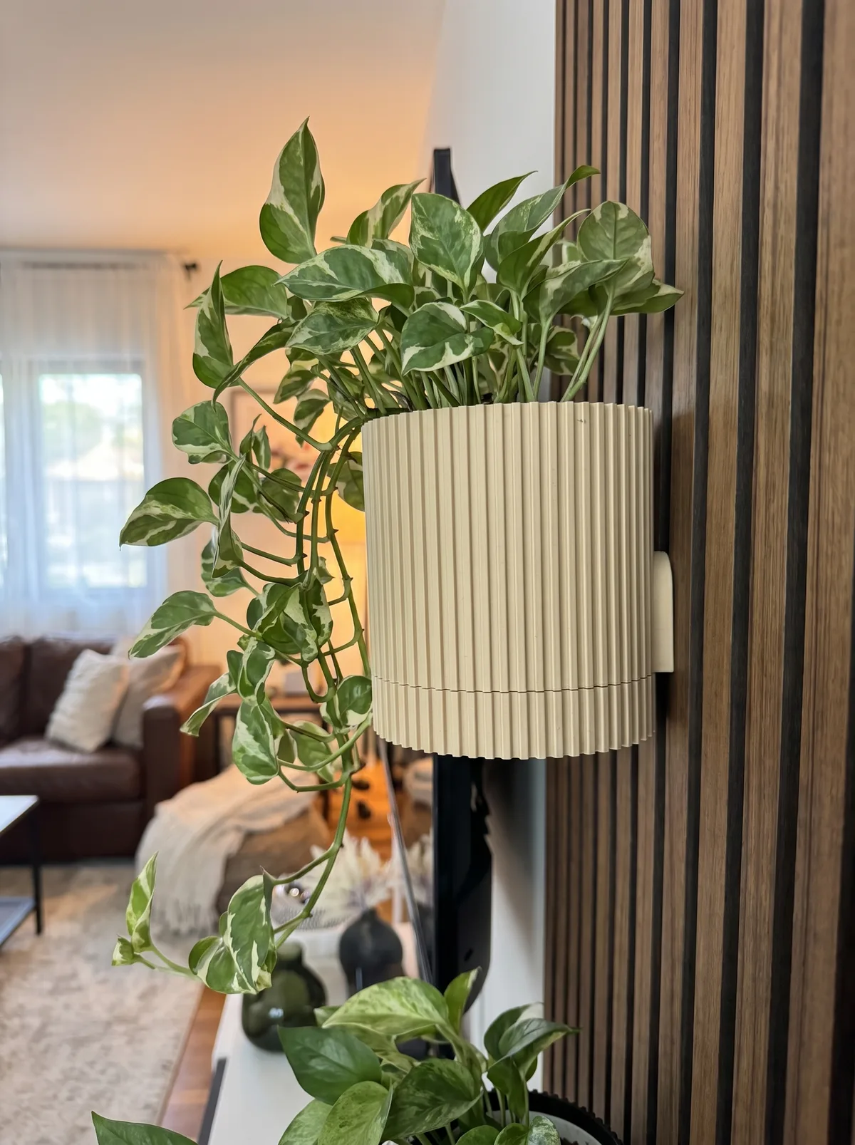 Matte cream/beige ribbed wall planter with trailing pothos