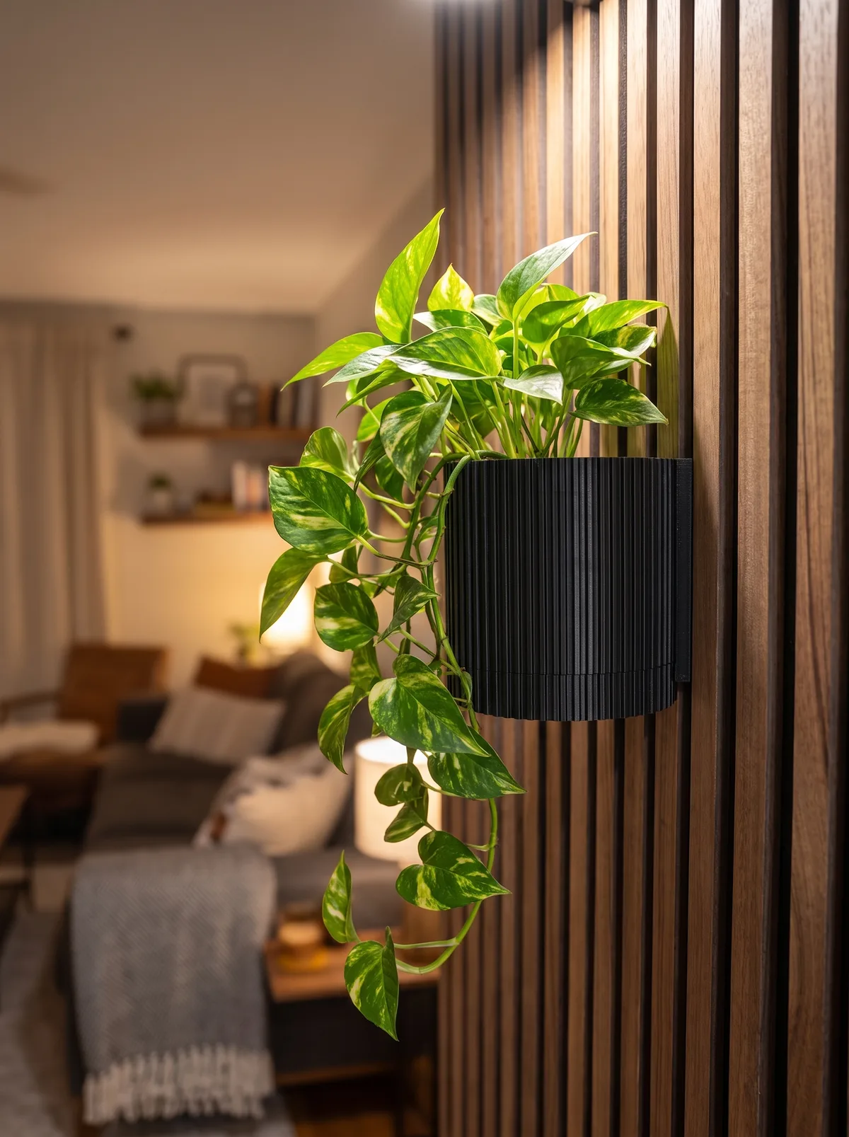Matte black ribbed wall planter under a warm spotlight
